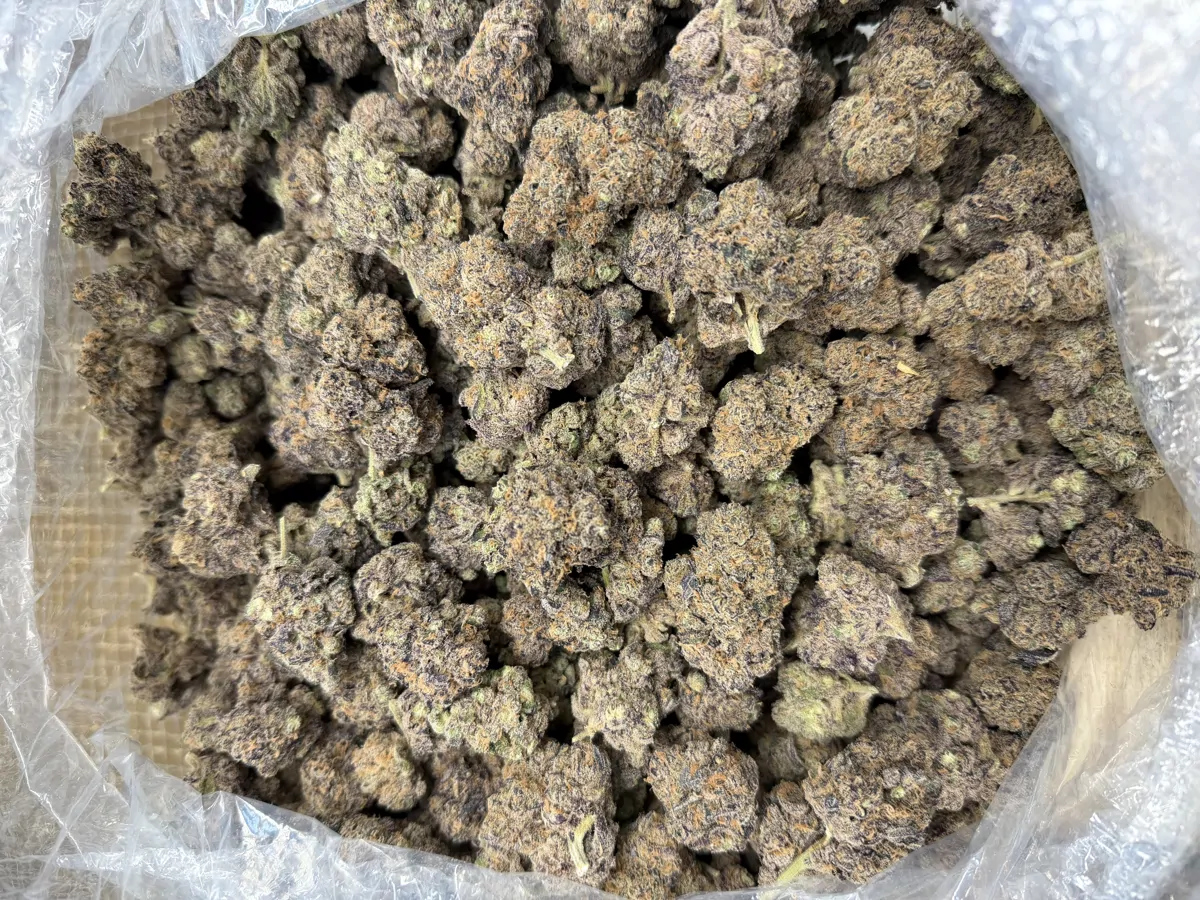 Lizard Bones Flower